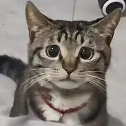 传奇机长阿拉·佐巴扬