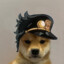 JOTARO DOG