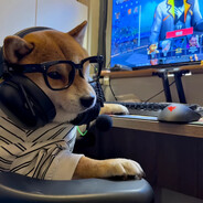 活在爱的记忆里