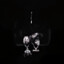 Skelly