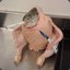 vas_deferens_