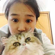 天王盖地虎，全是二百五