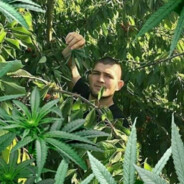 транквилизатор228