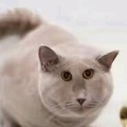 спидозная кровь