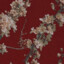 zhan