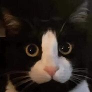 相聚有时，后会无期