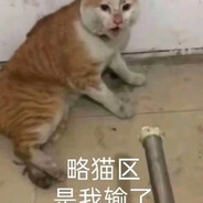 bro懂我的IP价值