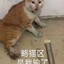 马化腾我会死吗