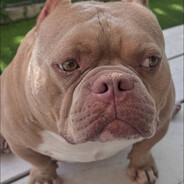 Fomich - steam id 76561199405037055