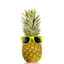 DJ_Ananas