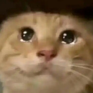 哈基米哟南北绿豆