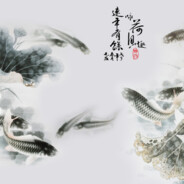 暗夜灬灵 avatar