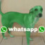 perro whatsapp