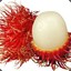 Rambutan