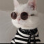 ---------