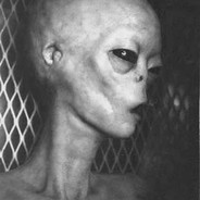 LYNOUX- #Road_to_perdition