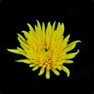 你是我的小呀小苹果