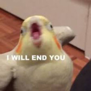 Birb - steam id 76561197960562705