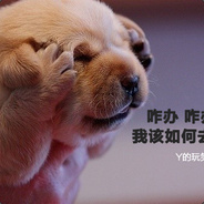 贪婪之心怎能成王