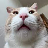 huh