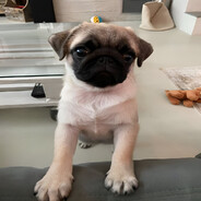 gamesense - steam id 76561199078561870