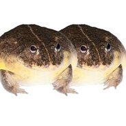 ADuplicatedFrog
