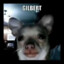 Gilbert