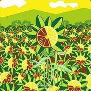 Vitamin Cannabis Tea