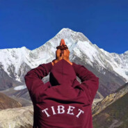 欲买桂花同载酒