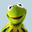 Kermit the dawg