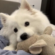 不美不萌不倾城