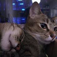 sadboi