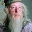 Albus Dumbledore&#039;s Left Nipple