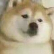 吾有小狗名豆豆甚可爱