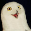 eule
