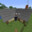 PercyNinjaNo