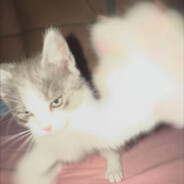 躲着海底吐泡泡的鱼