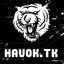 HAVOK.TK