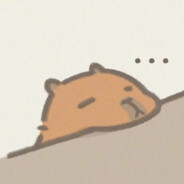 货拉拉拉不动拉布拉多