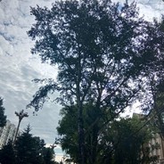 棋猎.顽石子#CSGO真箱