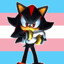 Shadow the Hedgehog