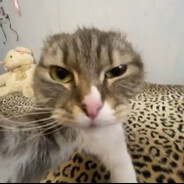 𝔻𝕖𝕞_𝕠𝕟+