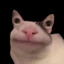 Buttsy