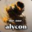 Alycon