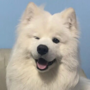 你再黑，你再黑！！！