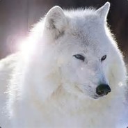 Alpha Male hellcase.com