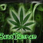BassTajpan