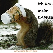 Koffeinkiffer