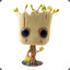 Groot