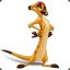 Timon